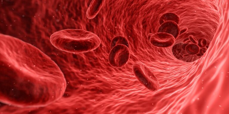 1-blood