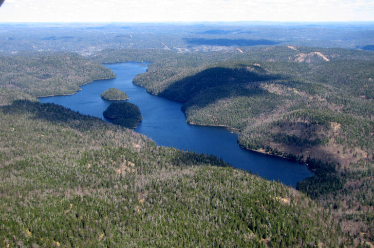 4560552230_e95c1c050a_o