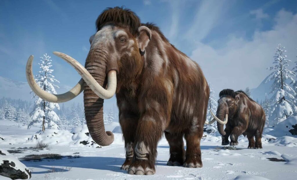 A-photorealistic-digital-artwork-of-two-woolly-mammoths-in-a-snow-covered-landscape