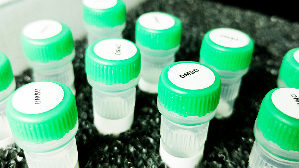 DMSO-Laboratory-Tubes