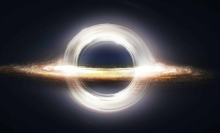 Did-Dark-Matter-Shape-the-Massive-Black-Holes-of-the-Early-Universe