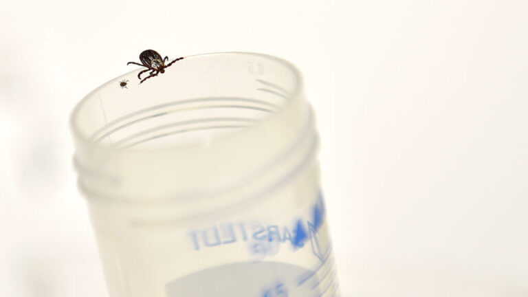 GettyImages-1043320944-1024x576