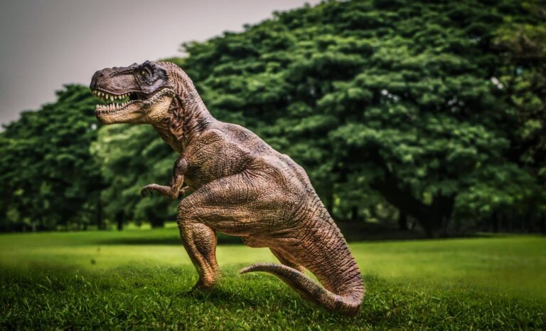 Incredible-Dinosaur-Discovery-Three-Boys-Found-A-Teenage-T.-Rex-On-A-Simple-Hike