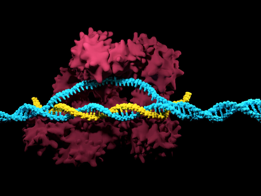 Nov21_2017_GEtty_859573154_CRISPR-Cas9System