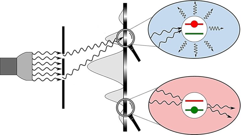 new-quantum-optics-the
