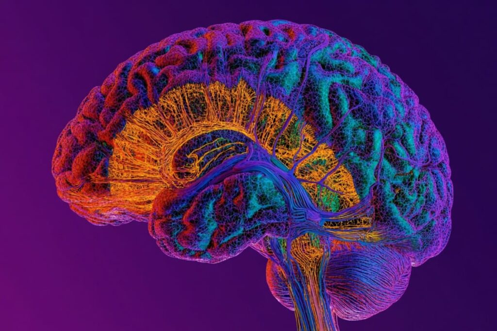 psychosis-neural-networks-neuroscience
