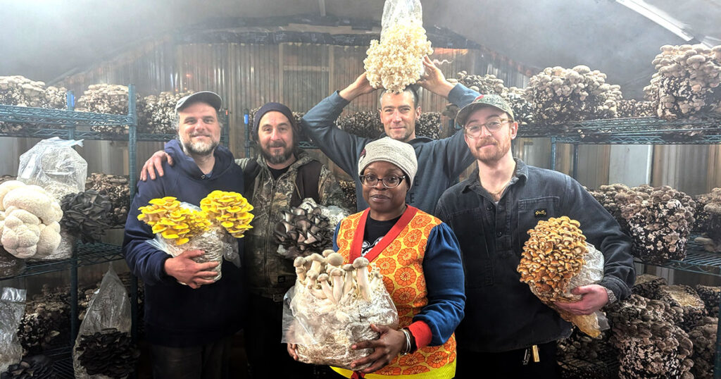 Mycopolitan-Mushroom-farm-team-1200-630