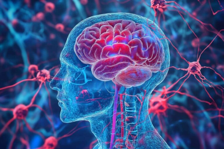 sugar-substitute-brain-neuroscience